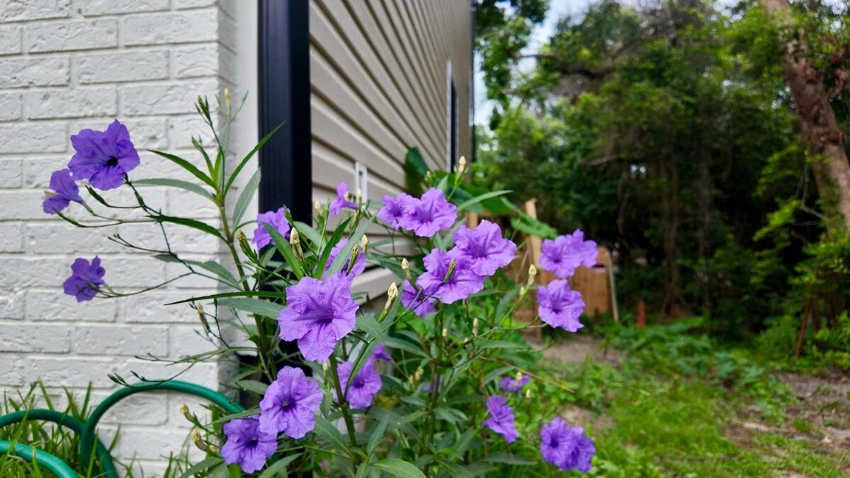 Cozy Townhome Retreat With King Bed Near I-10, Capitol, Fsu & Famu Tallahassee Eksteriør bilde